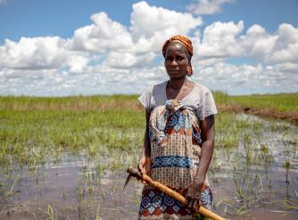ActionAid Mozambique is providing resilient varieties of seed to those most affected by the climate emergency